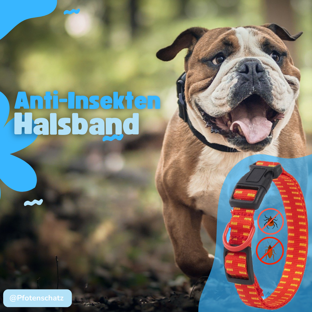 Pfoten-Schatz Anti-Insektenhalsband
