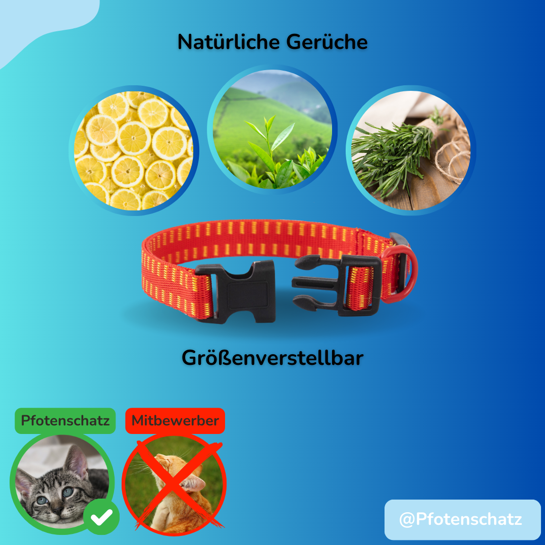 Pfoten-Schatz Anti-Insektenhalsband