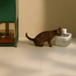 Pfoten-Schatz Smarter Trinkwasserspender für Hunde und Katzen